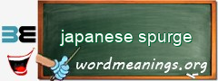 WordMeaning blackboard for japanese spurge